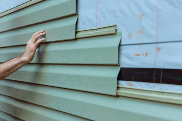 Best Insulated Siding Installation  in Alorton, IL